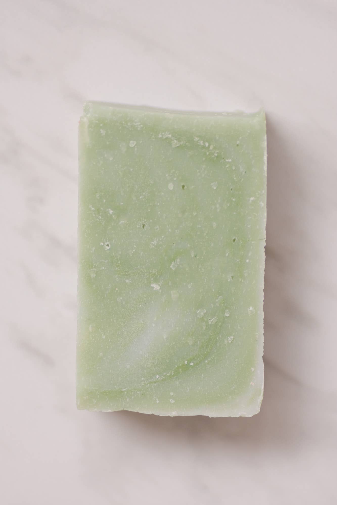 Moisturizing Vegan Body Wash - Aloe & Coconut Milk - No Tox Life