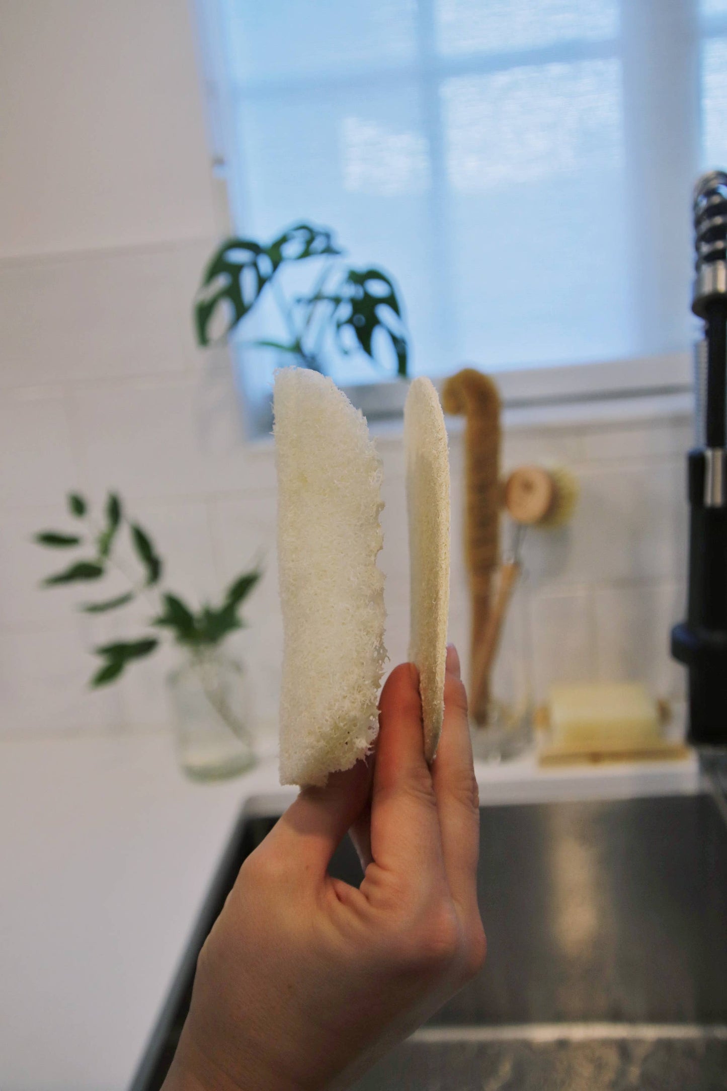Me Mother Earth: Compostable Eco Dish Sponge, 3-Pack