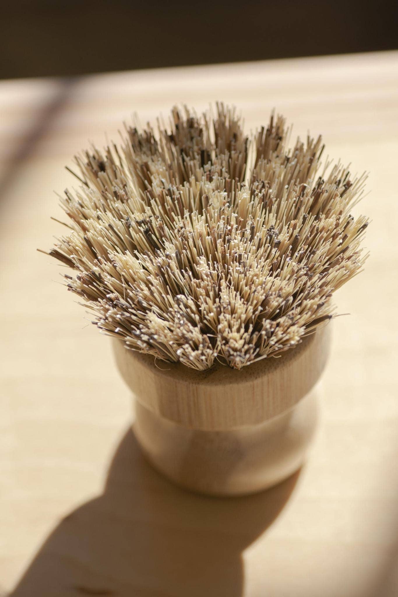 Pot scrubber / Hand Brush White Teakwood - No Tox Life® | CASA AGAVE®