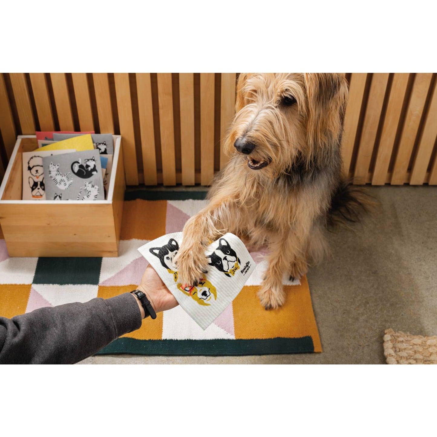 Meow & Furever Swedish Dishcloth (cats, fall collection)