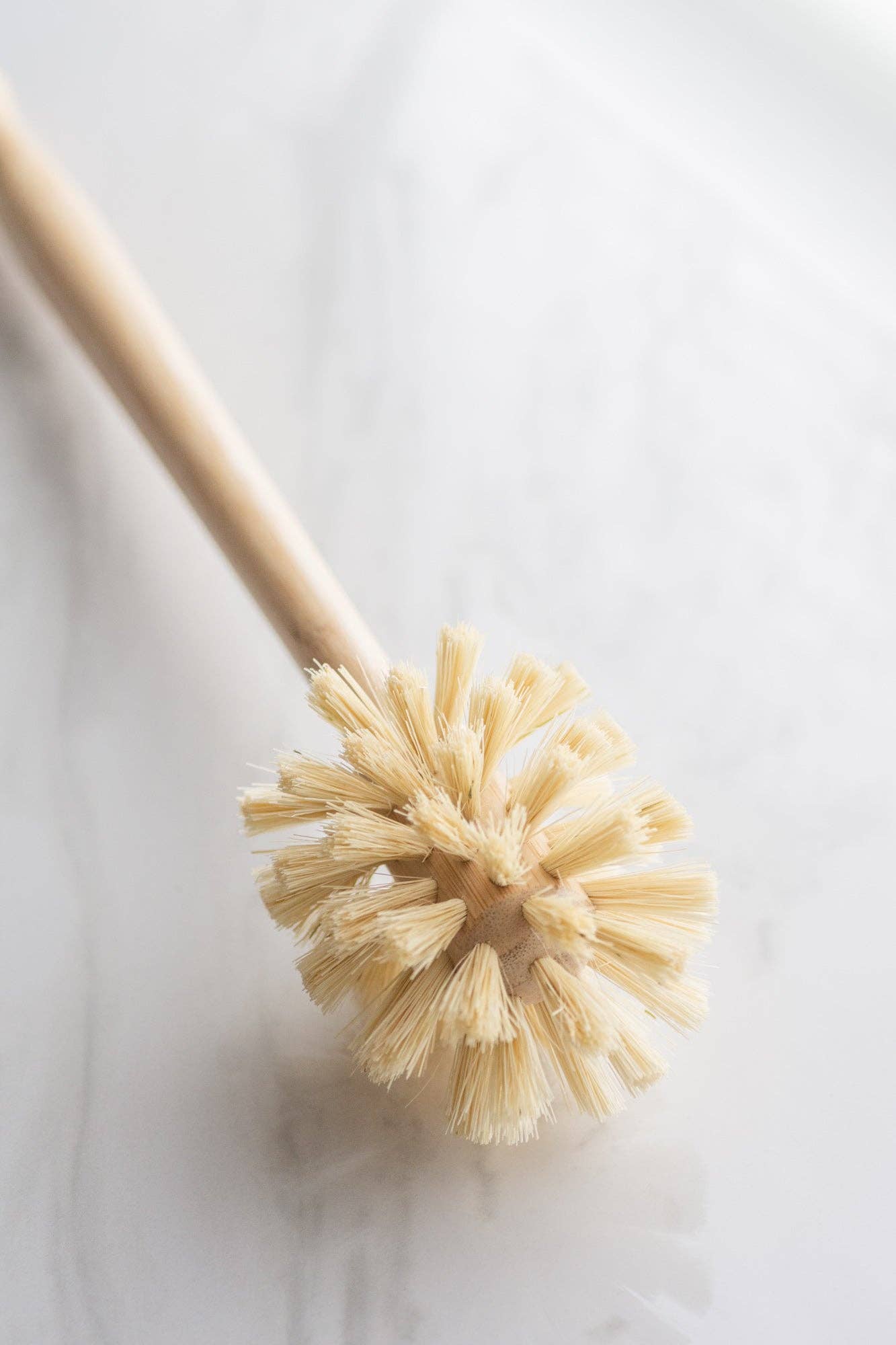 CASA AGAVE® Sphere Dish Brush - No Tox Life