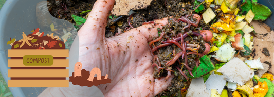 Why Vermicomposting Deserves a Spot in Your Low-Waste Life