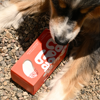 The Thank You Poo Bag – Cool Poo Bags