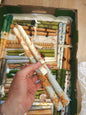 Taper Candles - Pair