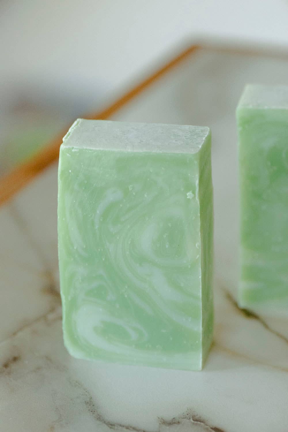 Moisturizing Vegan Body Wash - Aloe & Coconut Milk - No Tox Life