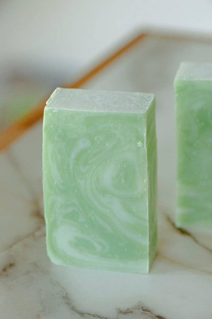 Moisturizing Vegan Body Wash - Aloe & Coconut Milk - No Tox Life