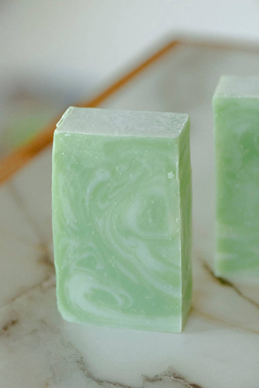 Moisturizing Vegan Body Wash - Aloe & Coconut Milk - No Tox Life