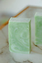 Moisturizing Vegan Body Wash - Aloe & Coconut Milk - No Tox Life