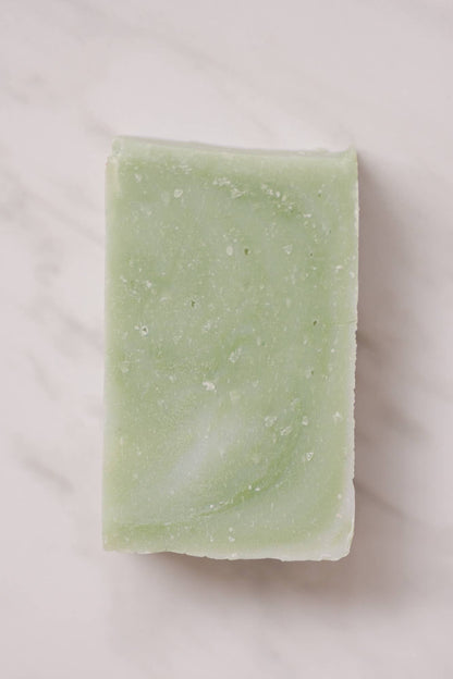 Moisturizing Vegan Body Wash - Aloe & Coconut Milk - No Tox Life