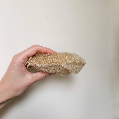 Double Layer Large Natural Loofah Sponge | Earth Ahead