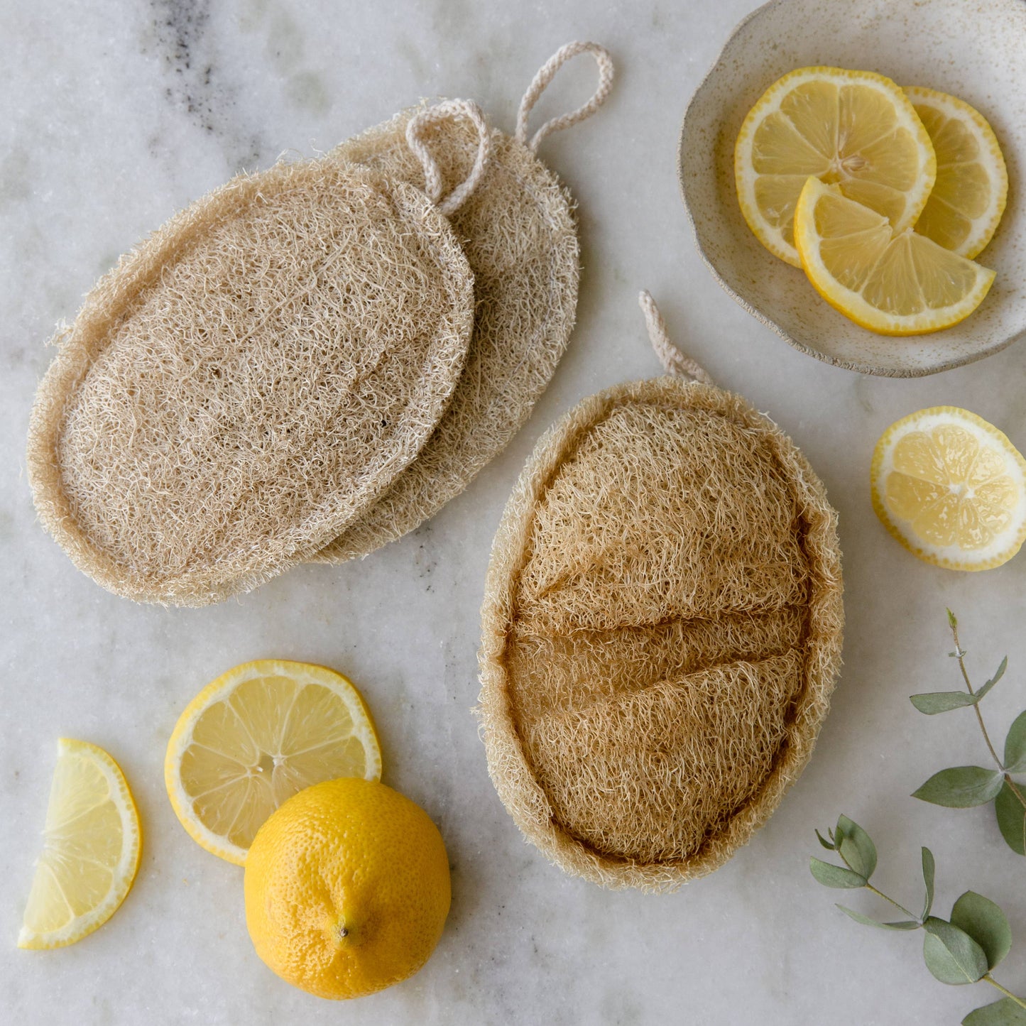 Double Layer Large Natural Loofah Sponge | Earth Ahead