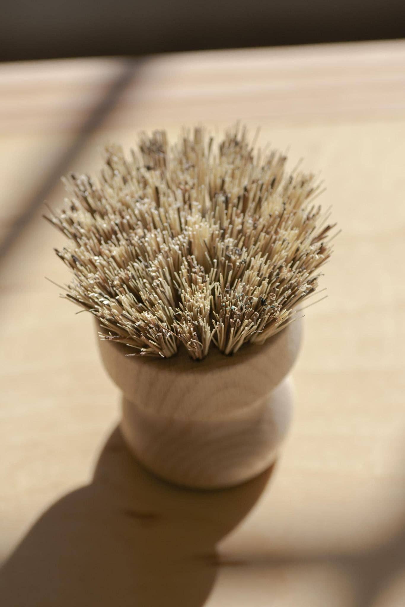 Pot scrubber / Hand Brush White Teakwood - No Tox Life® | CASA AGAVE®