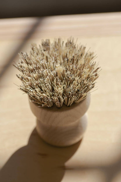 Pot scrubber / Hand Brush White Teakwood - No Tox Life® | CASA AGAVE®