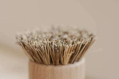 Pot scrubber / Hand Brush White Teakwood - No Tox Life® | CASA AGAVE®