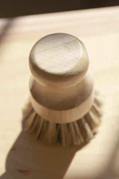 Pot scrubber / Hand Brush White Teakwood - No Tox Life® | CASA AGAVE®