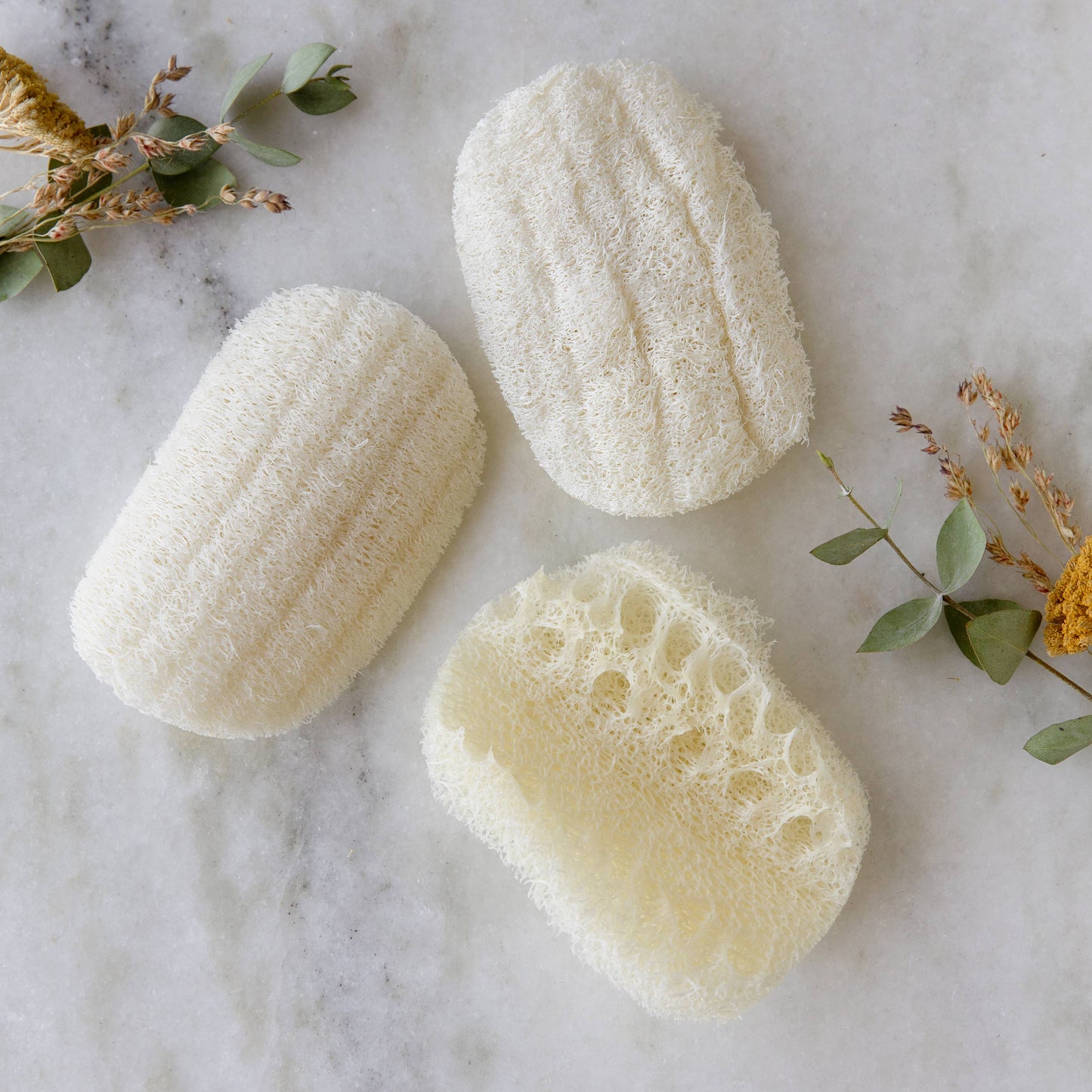 Earth Ahead: Compostable Dish Sponge 3-Pack | Eco Friendly, Zero Waste