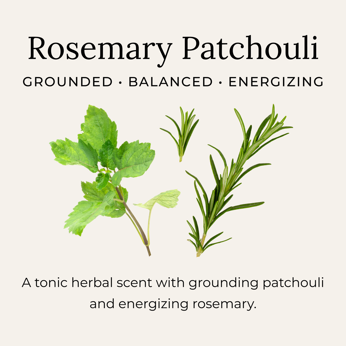 Rosemary Patchouli Deodorant Cream | Little Seed Farm