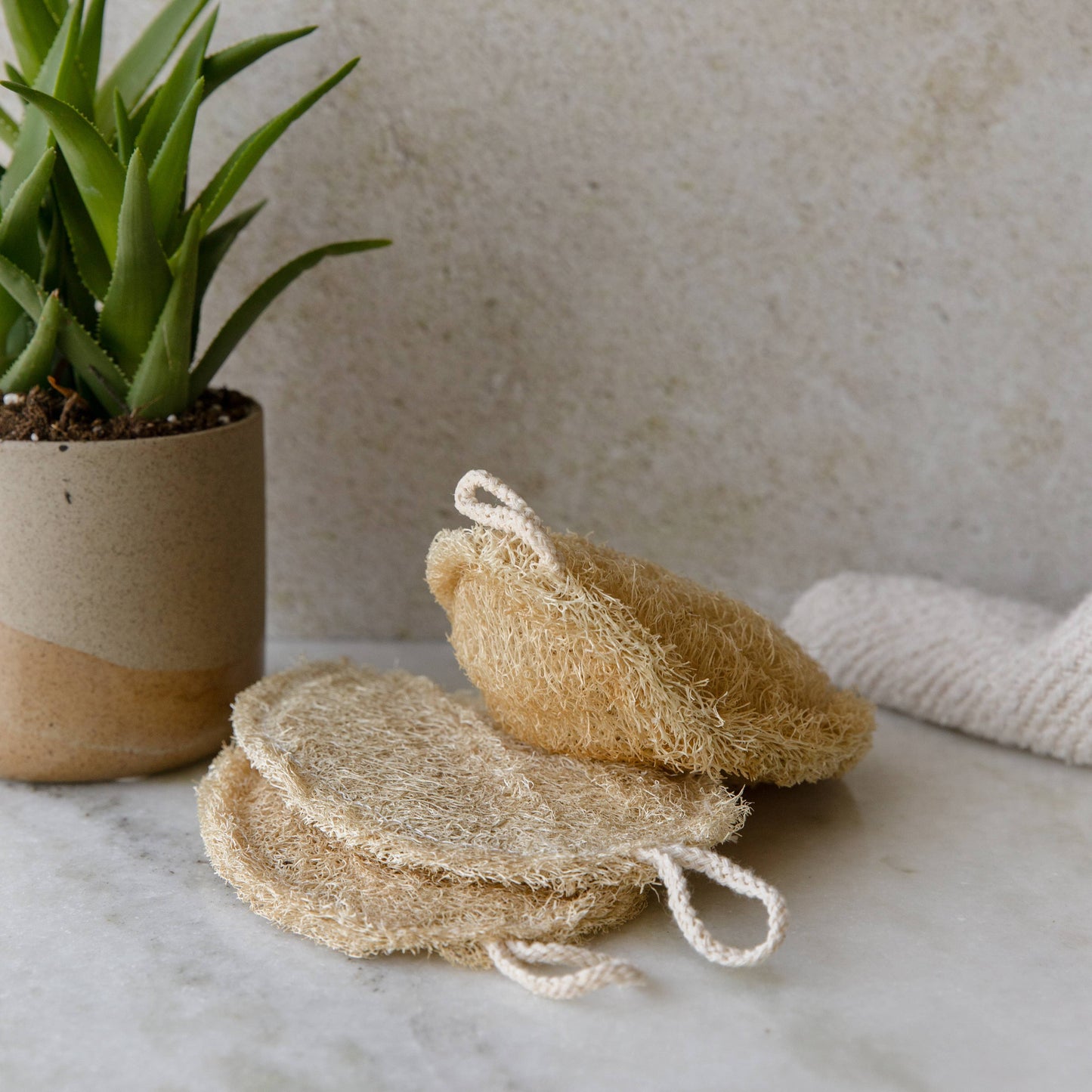 Double Layer Large Natural Loofah Sponge | Earth Ahead
