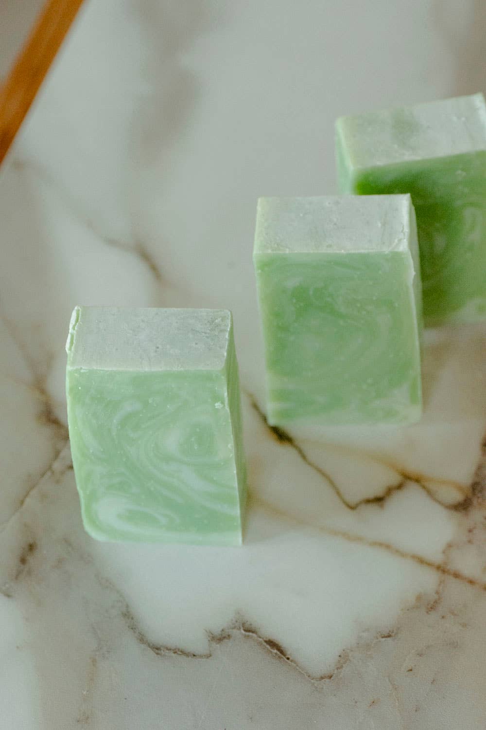 Moisturizing Vegan Body Wash - Aloe & Coconut Milk - No Tox Life