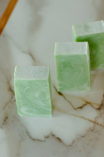 Moisturizing Vegan Body Wash - Aloe & Coconut Milk - No Tox Life