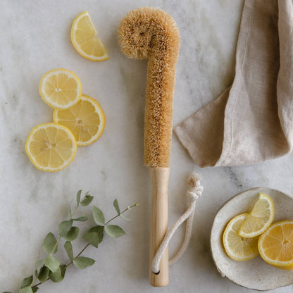 Earth Ahead: Bamboo + Coconut Bottle Brush | Eco Friendly