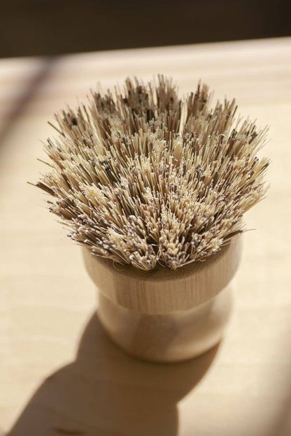 Pot scrubber / Hand Brush White Teakwood - No Tox Life® | CASA AGAVE®