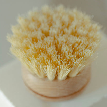 CASA AGAVE® Flat Long Handle Dish Brush White Teak - No Tox Life