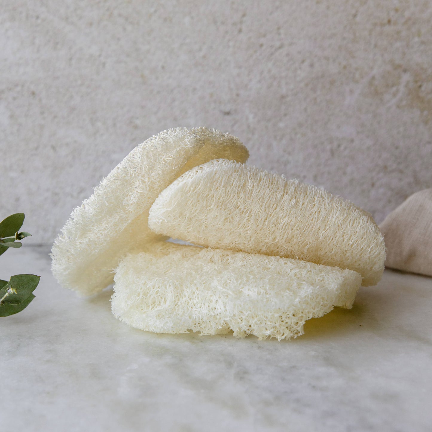 Earth Ahead: Compostable Dish Sponge 3-Pack | Eco Friendly, Zero Waste