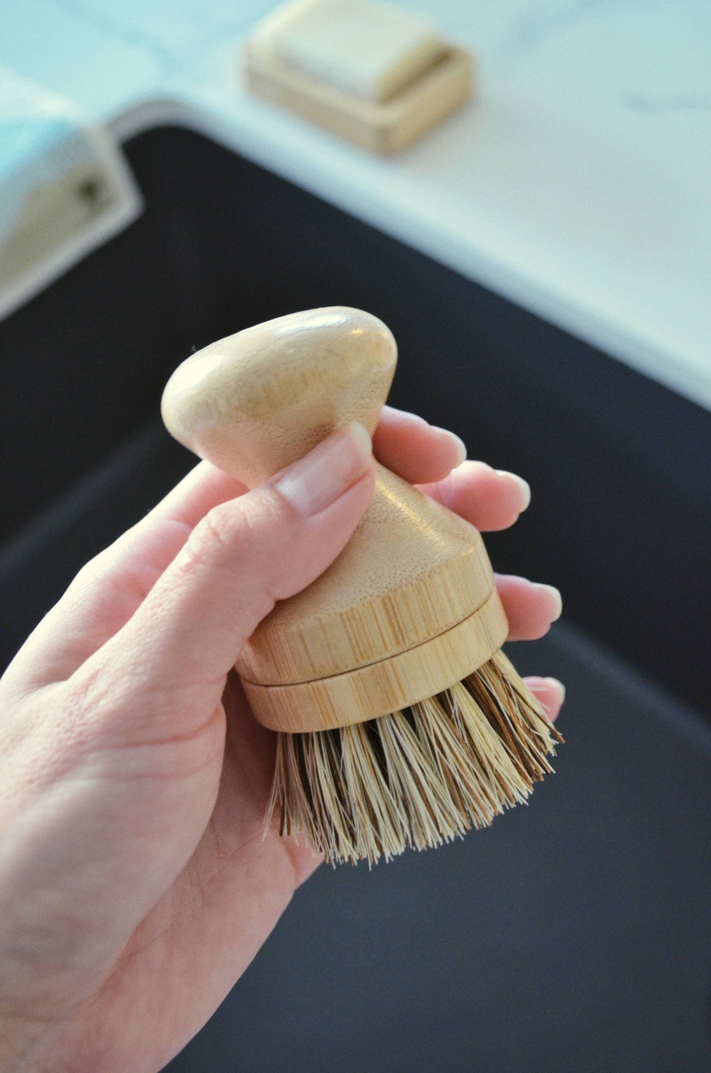 Modular Pot Scrubbing Brush | Home Cleaning Supplies (hard)
