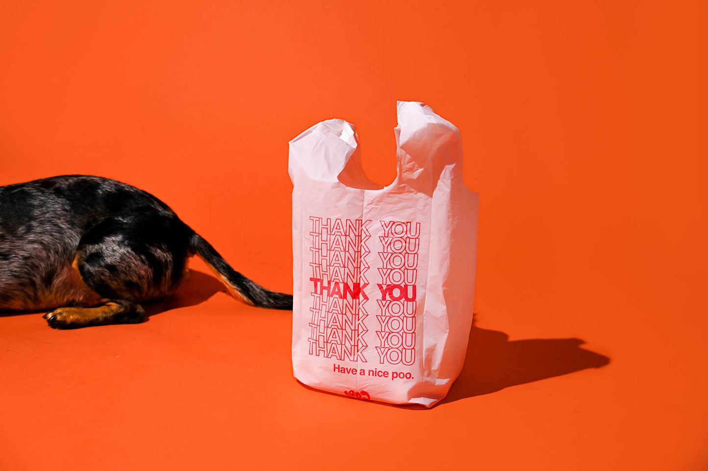 The Thank You Poo Bag – Cool Poo Bags