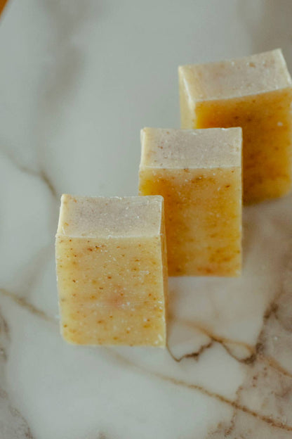 Moisturizing Vegan Body Wash - Turmeric Ginger - No Tox Life