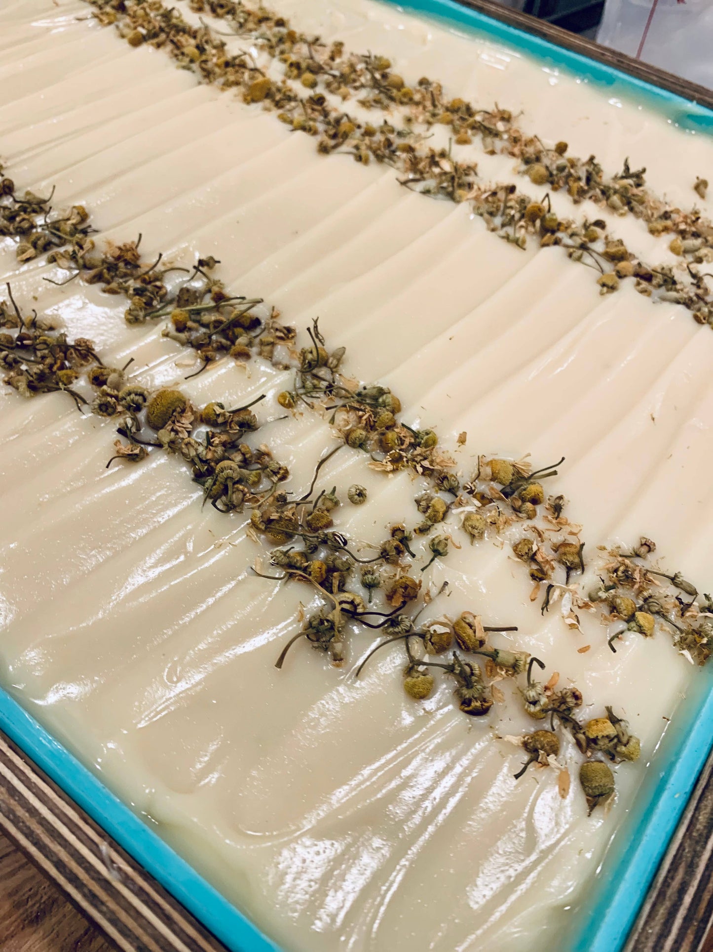 Citrus Chamomile Organic Coconut Milk & Shea Butter Soap