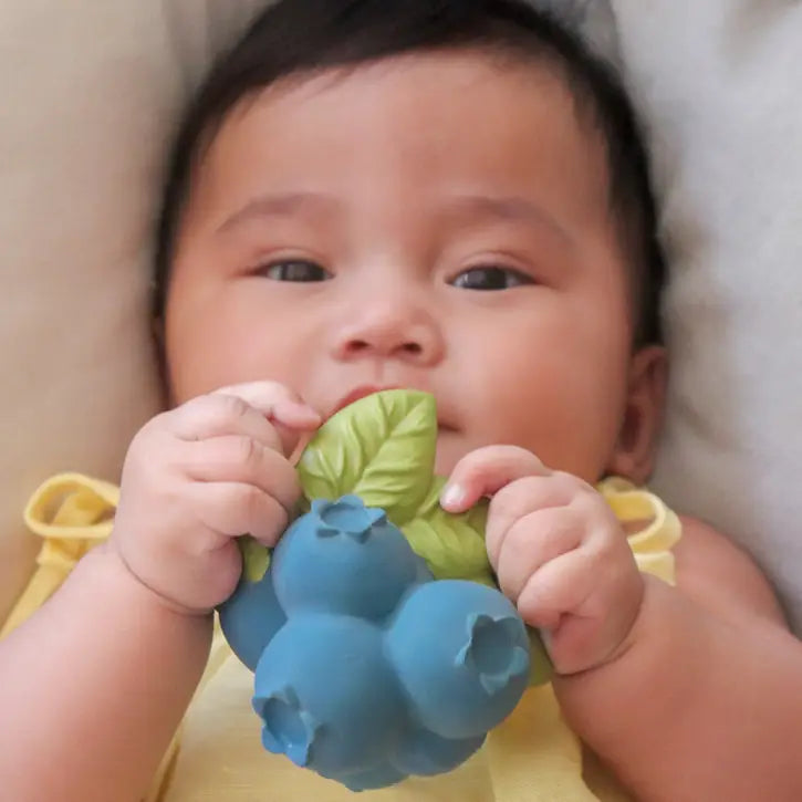 Oli & Carol, Jerry the Blueberry | Tiny Tulip Haus