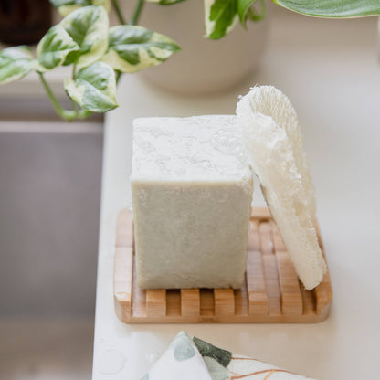 Earth Ahead: Compostable Dish Sponge 3-Pack | Eco Friendly, Zero Waste