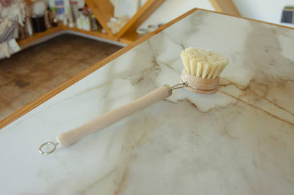 CASA AGAVE® Flat Long Handle Dish Brush White Teak - No Tox Life