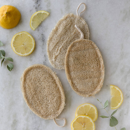 Double Layer Large Natural Loofah Sponge | Earth Ahead