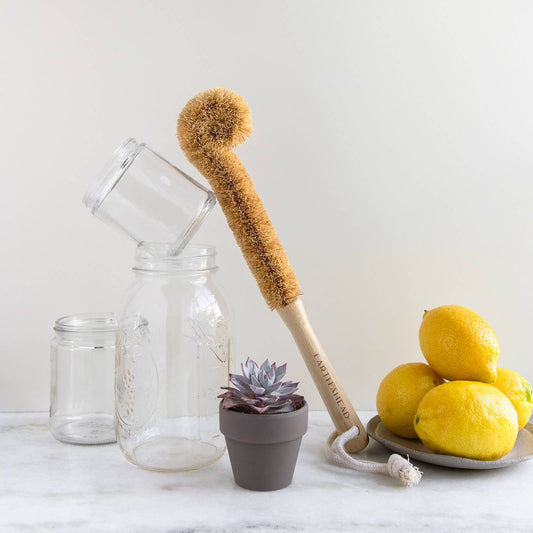 Earth Ahead: Bamboo + Coconut Bottle Brush | Eco Friendly